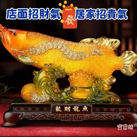 招財小型魚|一文睇清招財魚種類 